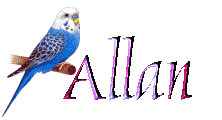 ALLAN